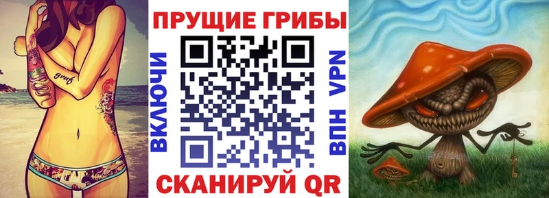 ссылка на мегу ТОР  Моршанск  Псилоцибиновые грибы ЛСД 